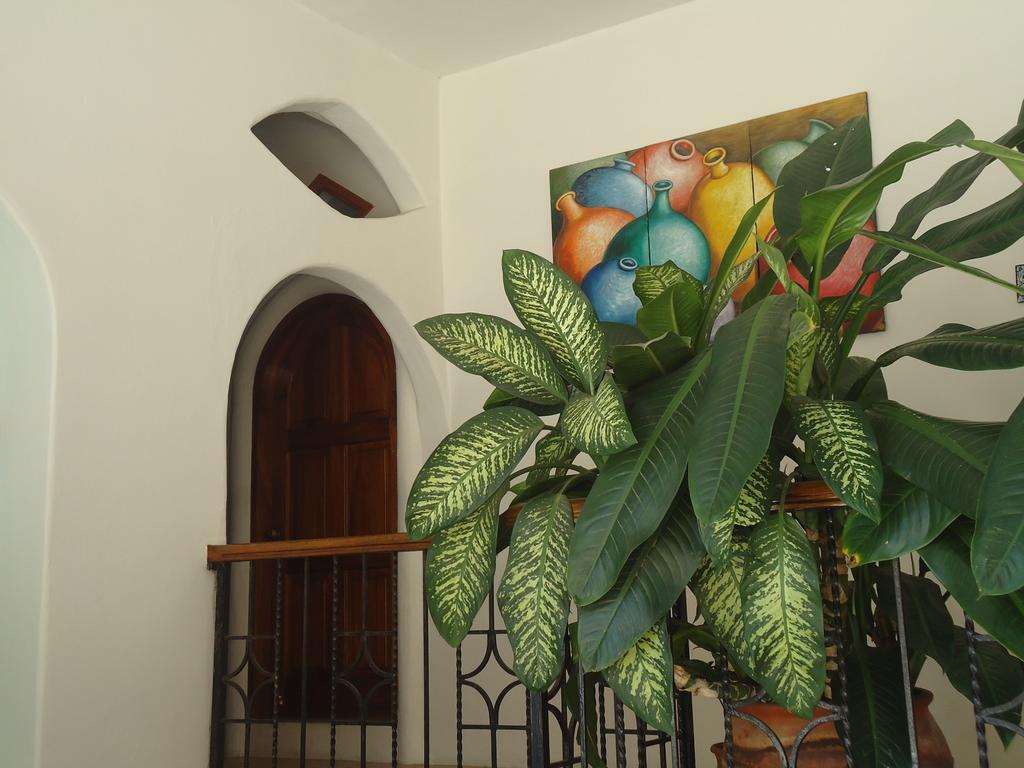 Hotel Cordelia'S Puerto Ángel Dış mekan fotoğraf